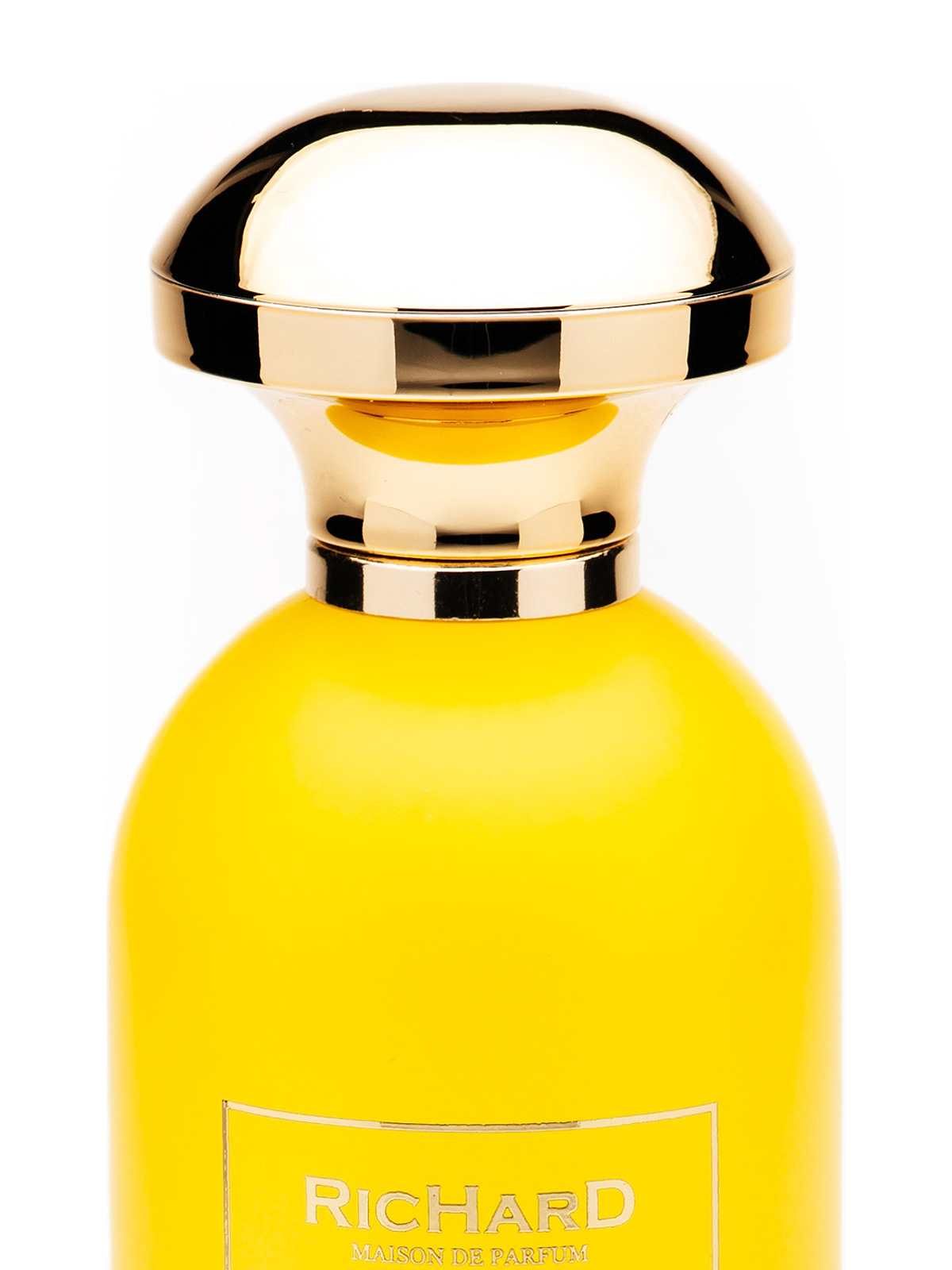 Парфюмерная вода Richard Dirty Pineapple Eau de Parfum унисекс 100 мл фото 2