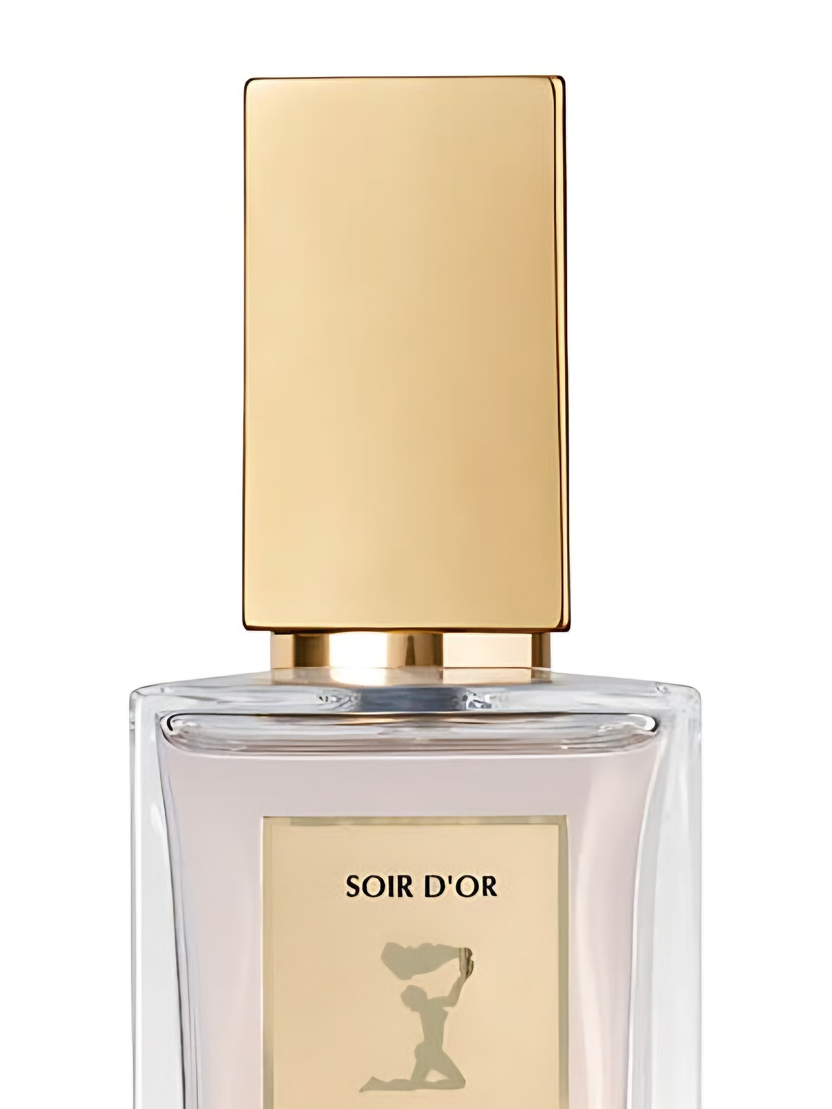 Парфюмерная вода Burdin Soir d'Or Eau de Parfum женская 100 мл фото 2