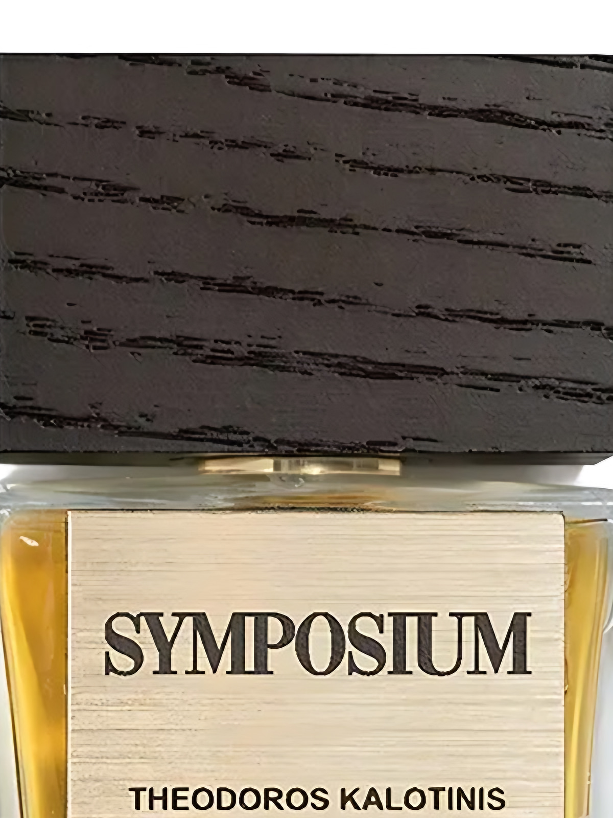 Духи Theodoros Kalotinis Symposium Extrait de Parfum унисекс 50 мл фото 2