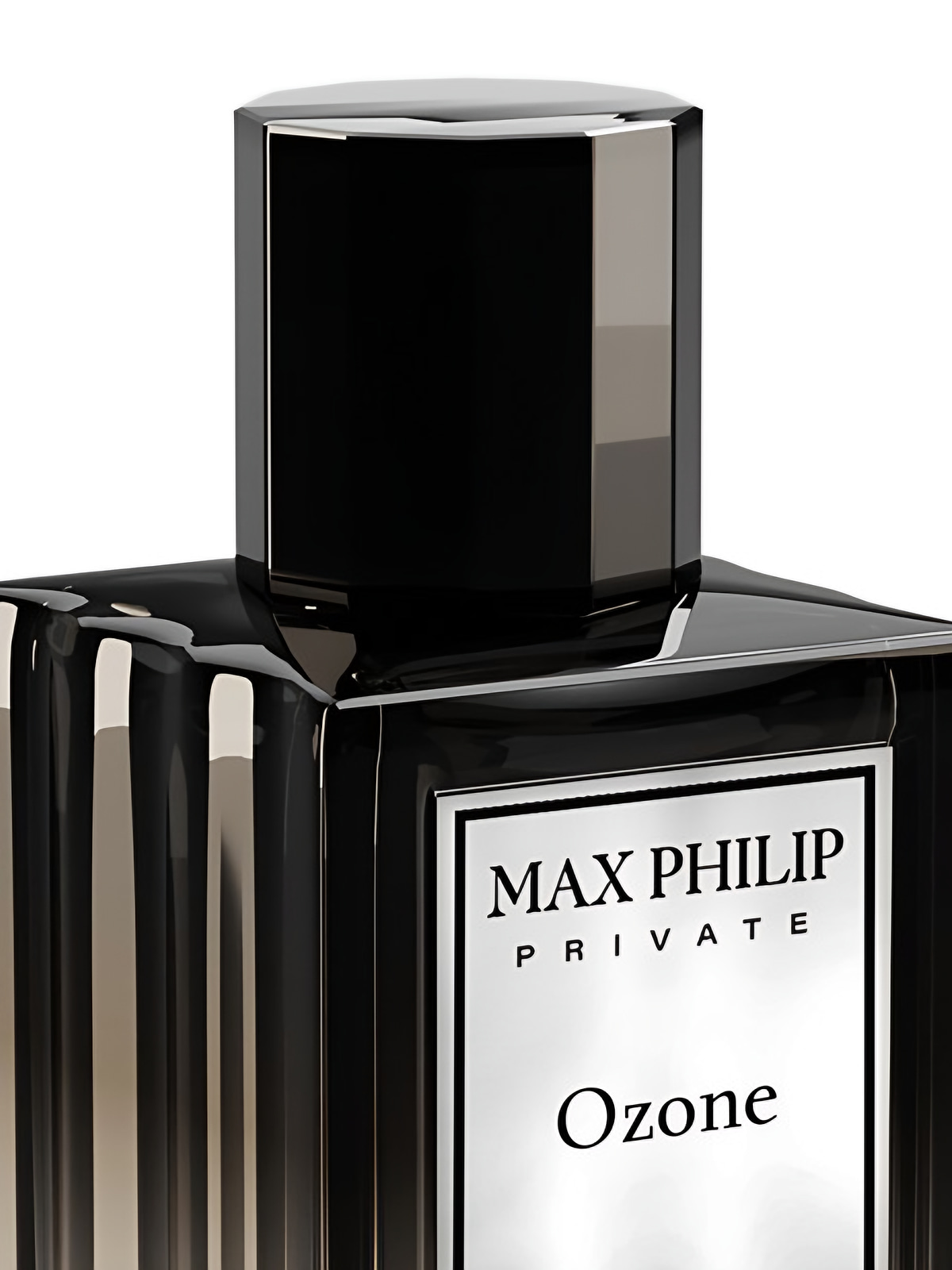 Парфюмерная вода Max Philip Ozone Eau de Parfum унисекс 100 мл фото 3