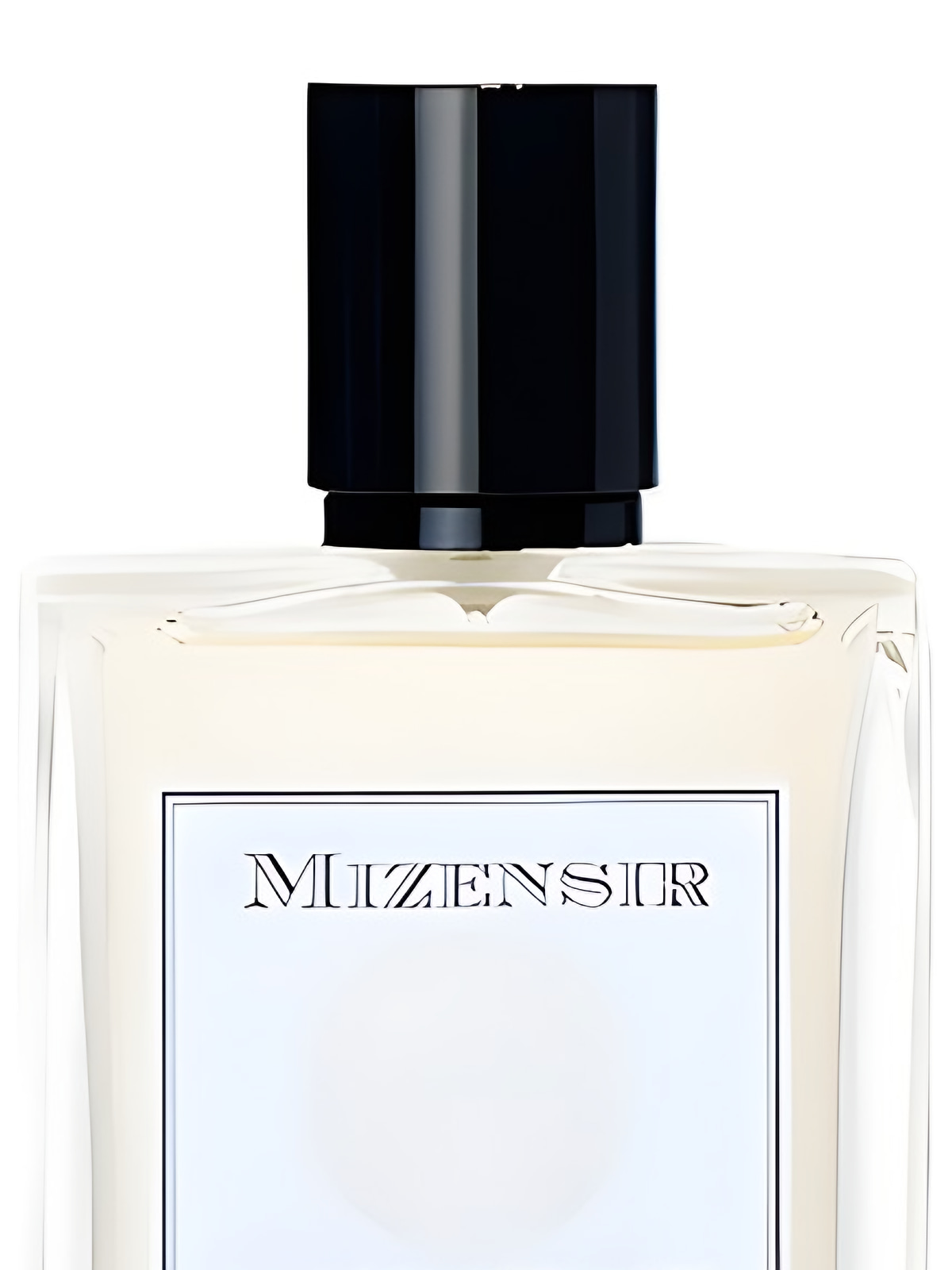 Парфюмерная вода Mizensir Anticonformiste Eau de Parfum унисекс 100 мл фото 4