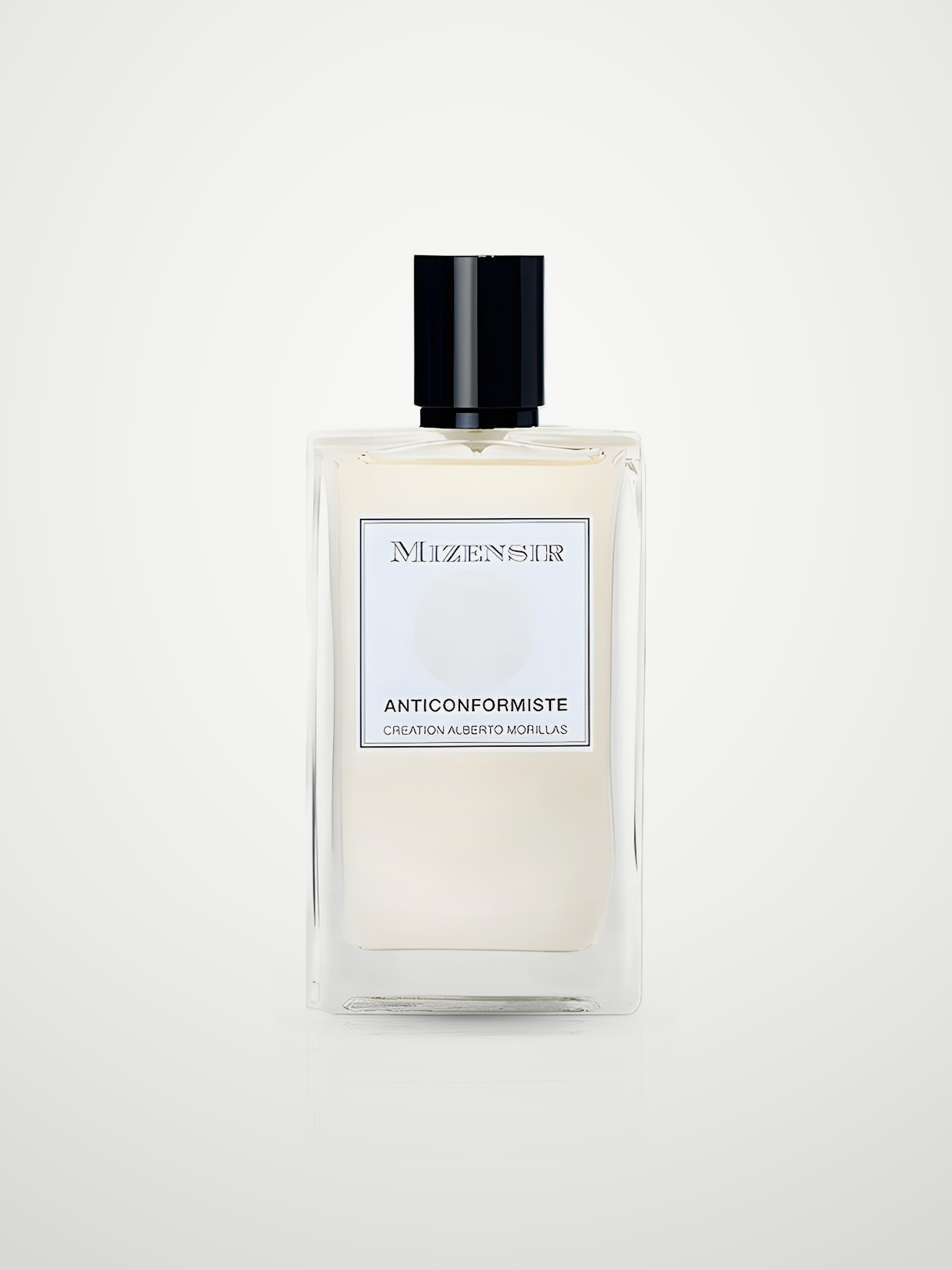 Парфюмерная вода Mizensir Anticonformiste Eau de Parfum унисекс 100 мл MIZENSIR