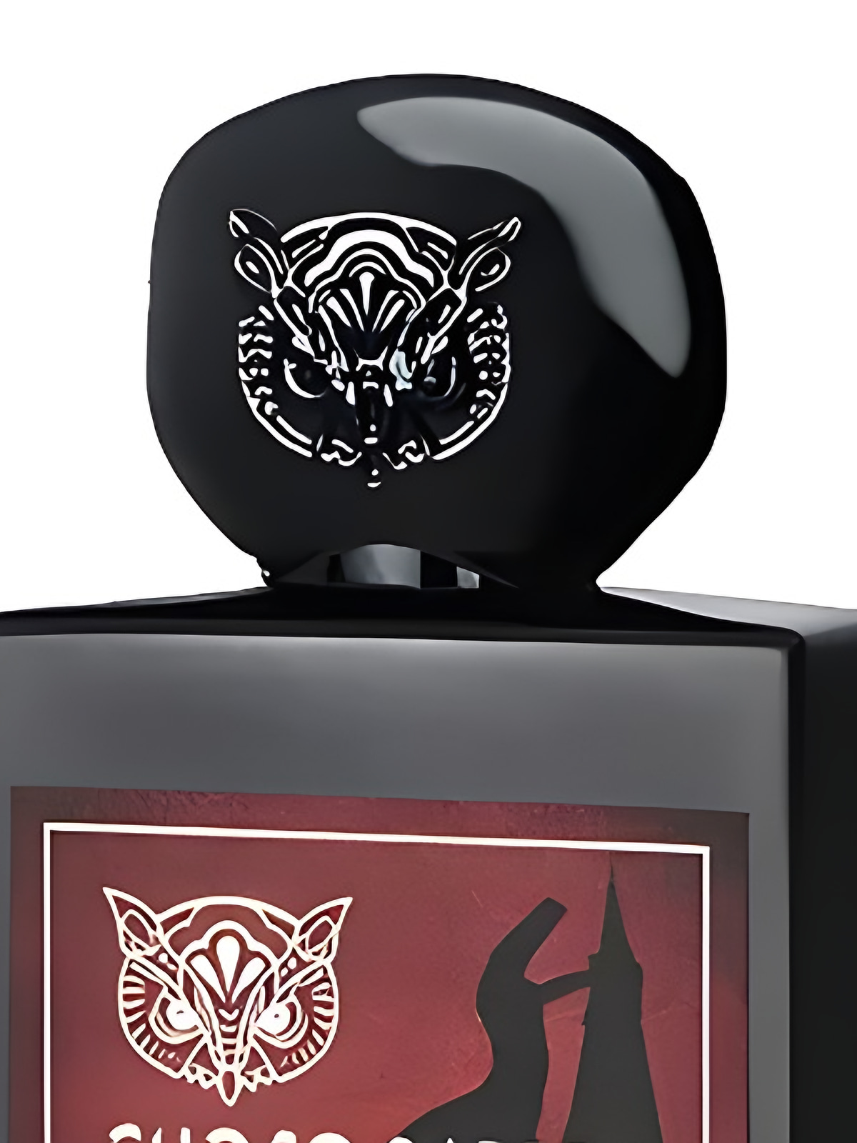 Духи Lorenzo Pazzaglia Choco Raptor Extrait de Parfum унисекс 50 мл фото 3
