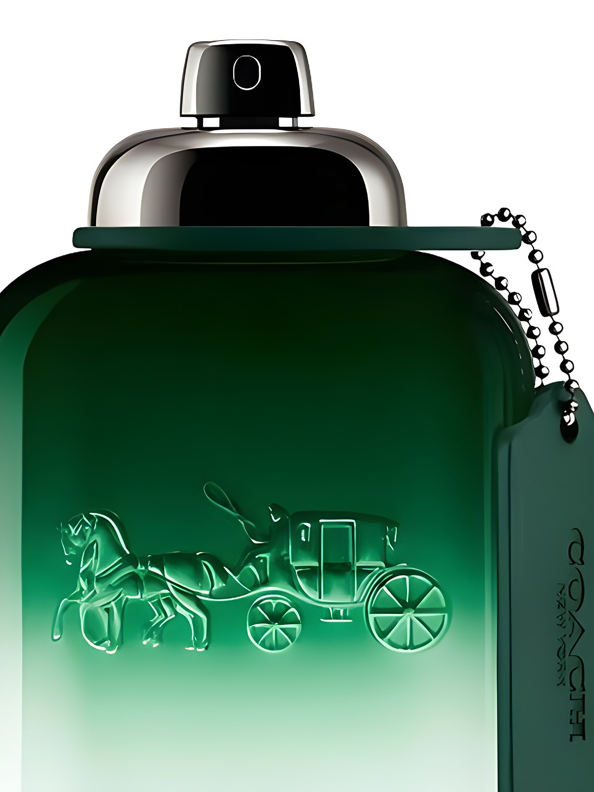 Туалетная вода Coach Green Eau de Toilette мужская 100 мл, свежий пряный фужерный аромат фото 3