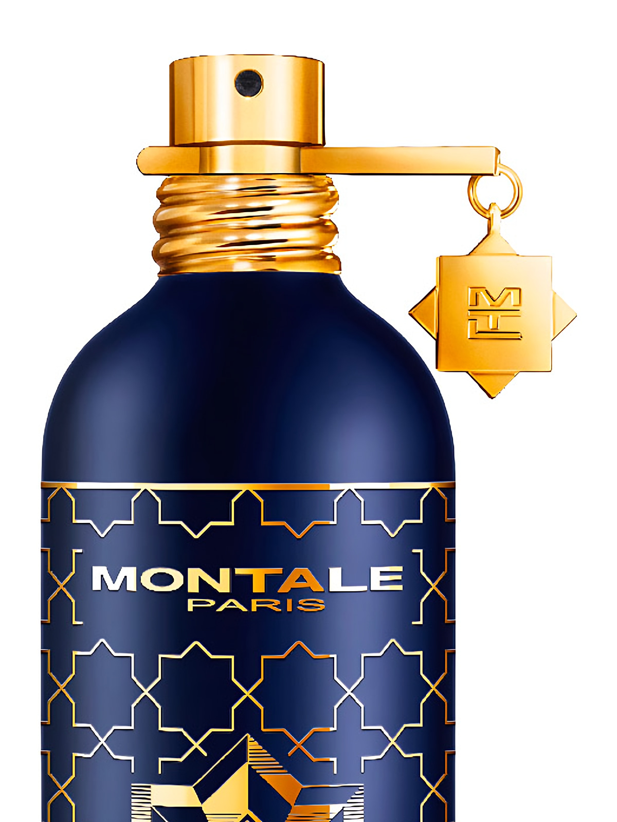 Парфюмерная вода Montale Infinity Eau de Parfum унисекс 100 мл фото 4