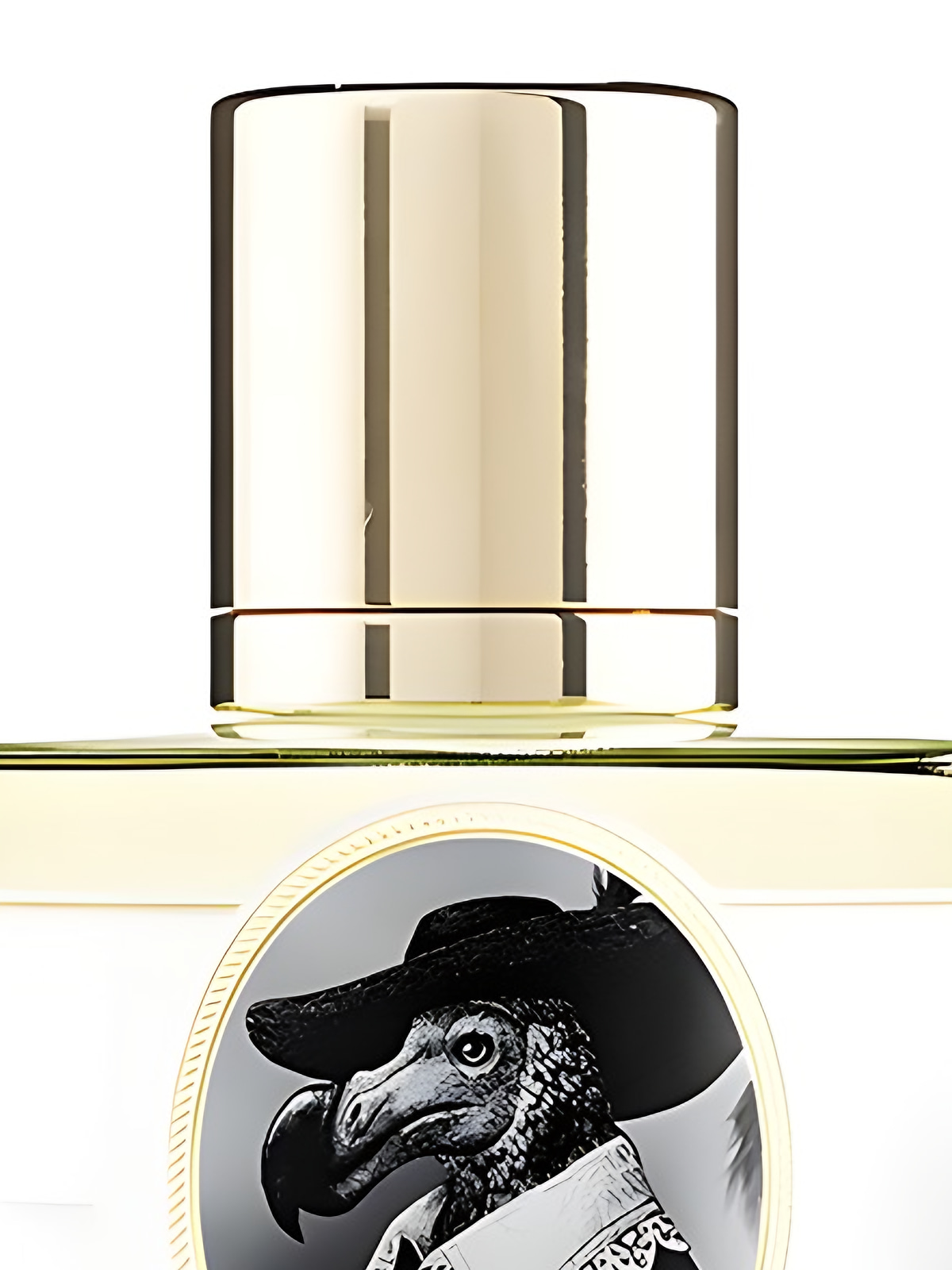 Духи Zoologist Perfumes Dodo Jackfruit Edition Extrait de Parfum унисекс 60 мл фото 7