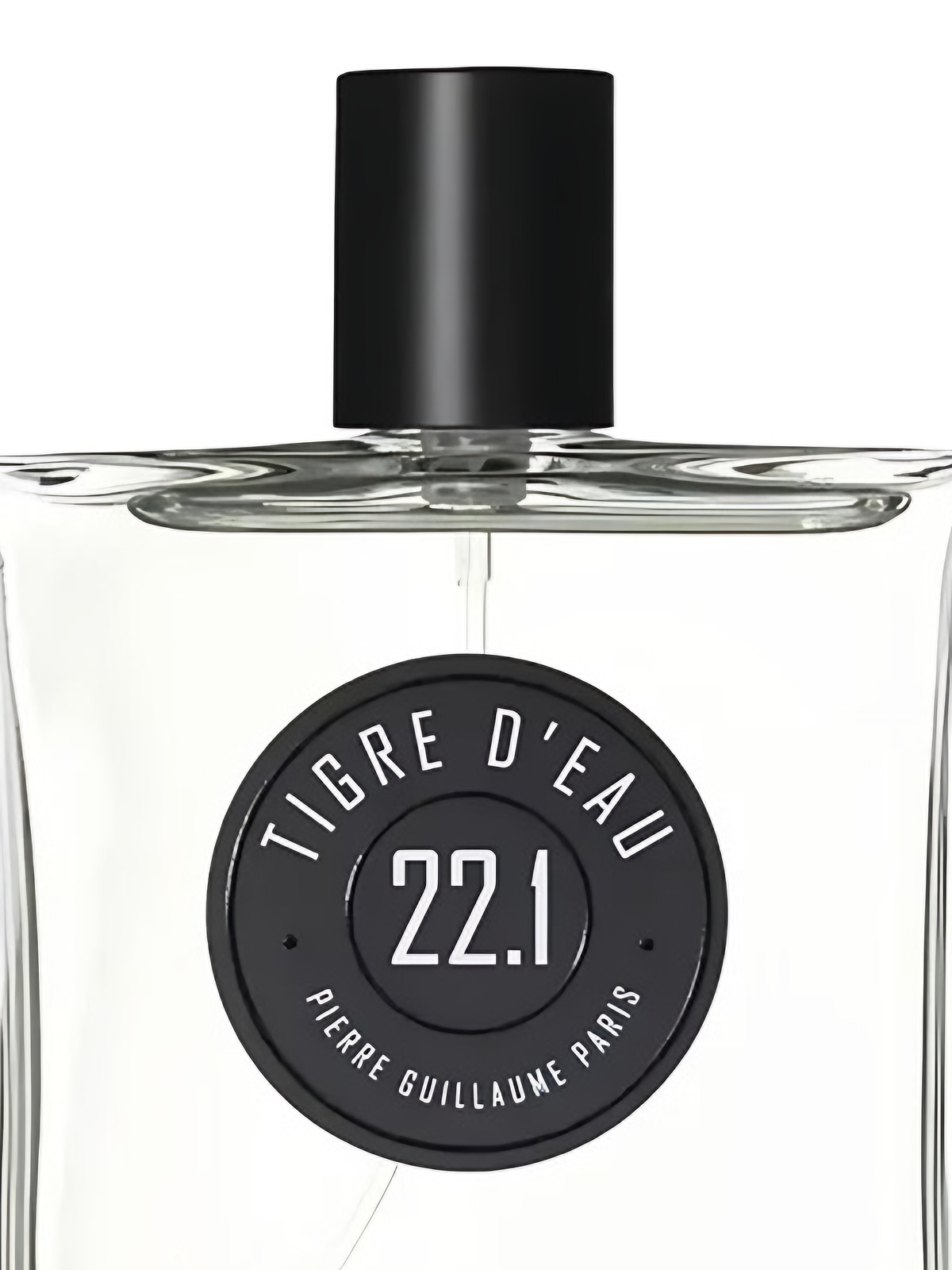 Парфюмерная вода Pierre Guillaume Paris Tigre d'Eau 22.1 Eau de Parfum унисекс 100 мл фото 2