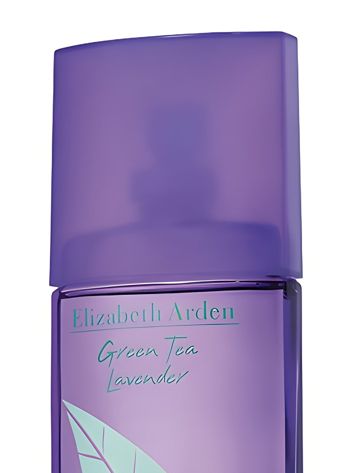 Туалетная вода Elizabeth Arden Green Tea Lavender Eau de Toilette женская 100 мл фото 4