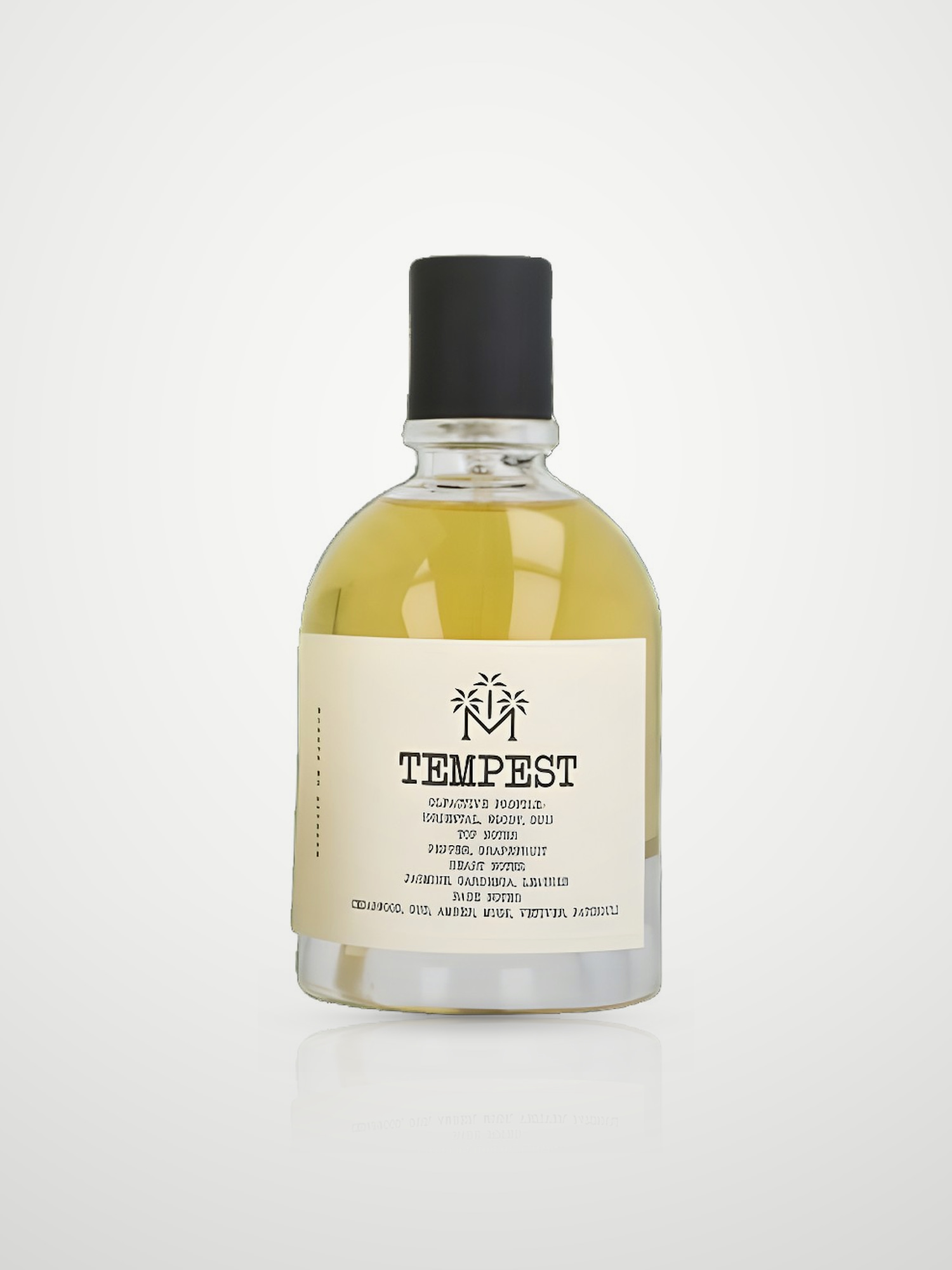 Духи Moudon Tempest Extrait de Parfum унисекс 100 мл Moudon