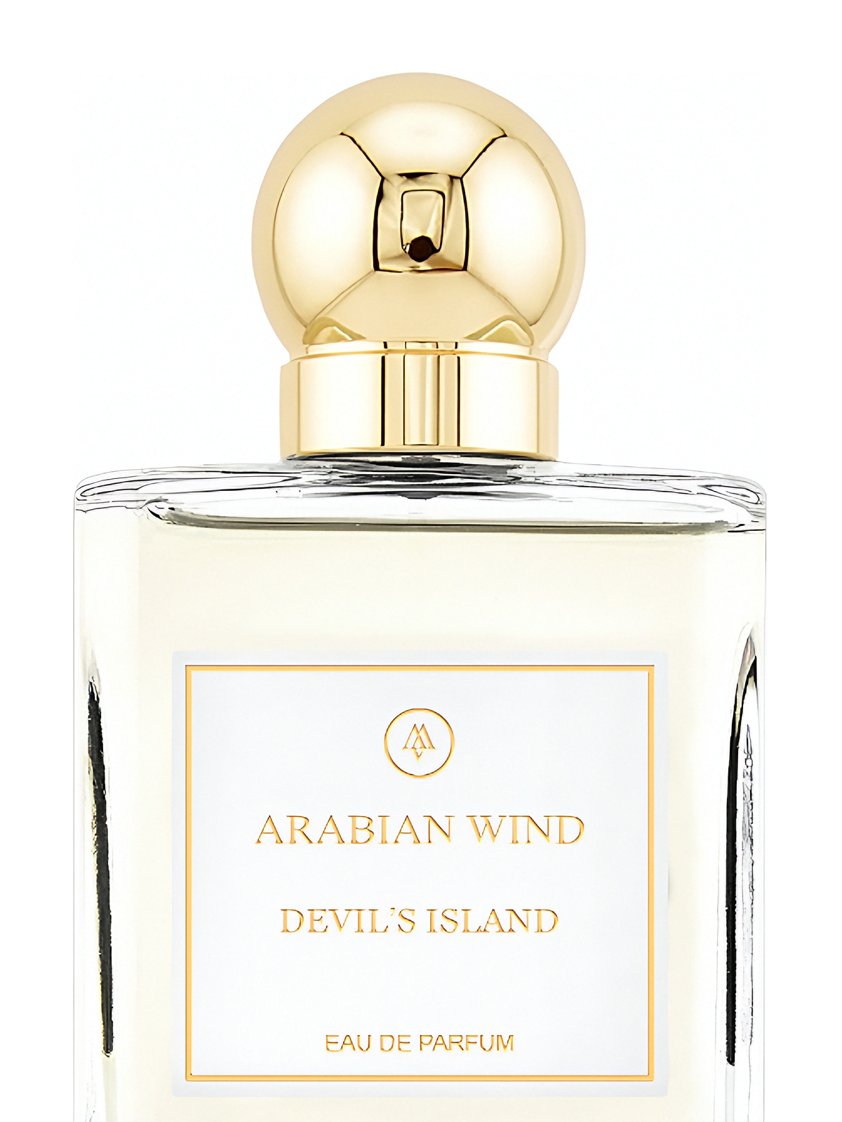Духи Arabian Wind Devil's Island Extrait de Parfum унисекс 75 мл фото 2