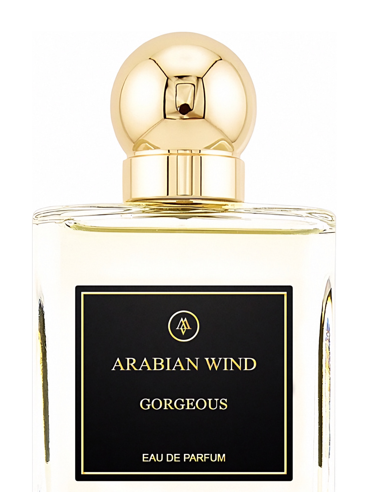 Парфюмерная вода Arabian Wind Gorgeous Eau de Parfum мужская 75 мл фото 2
