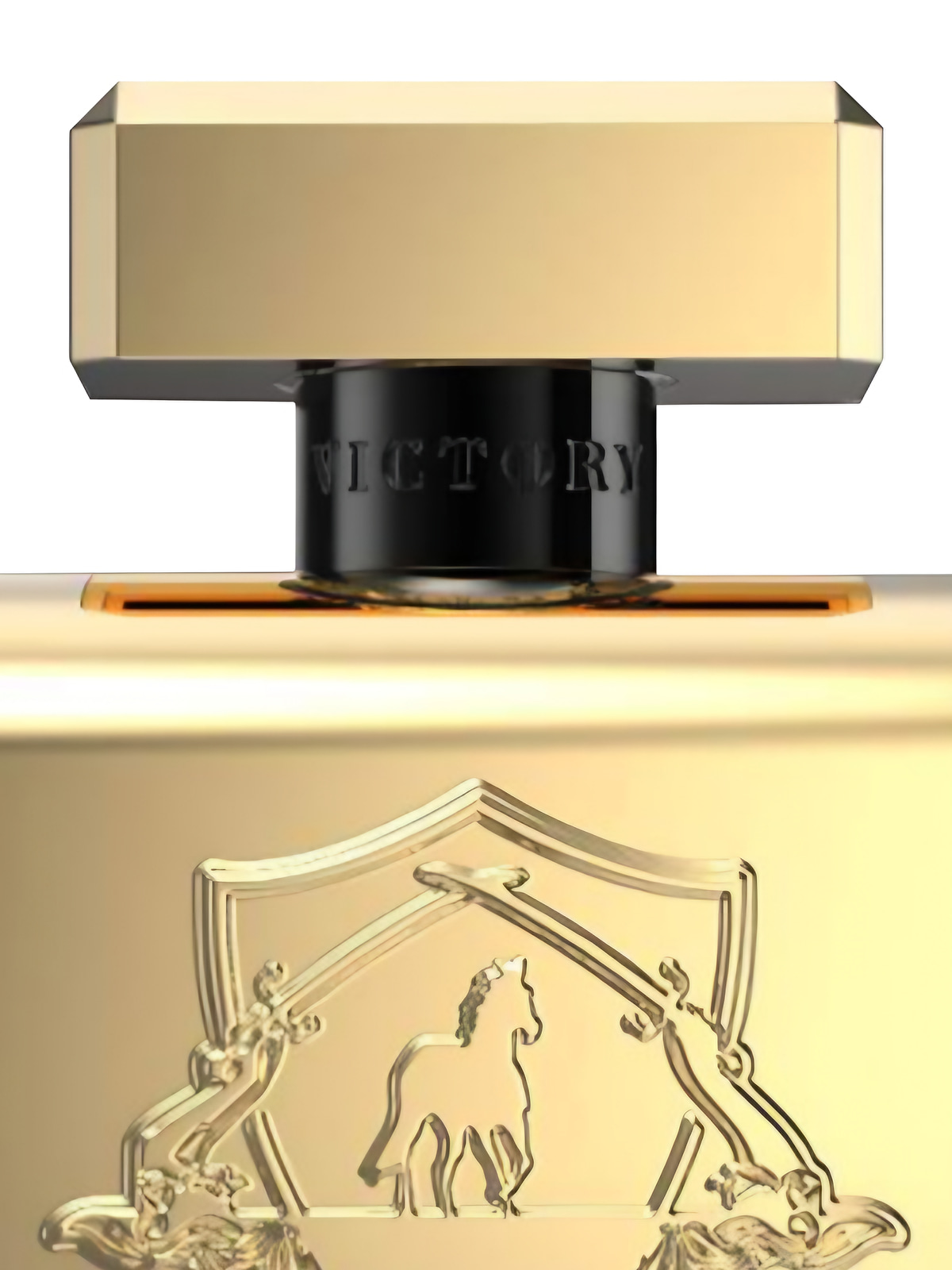 Парфюмерная вода Victory Gold Eau de Parfum унисекс 100 мл, пряный древесный аромат фото 3