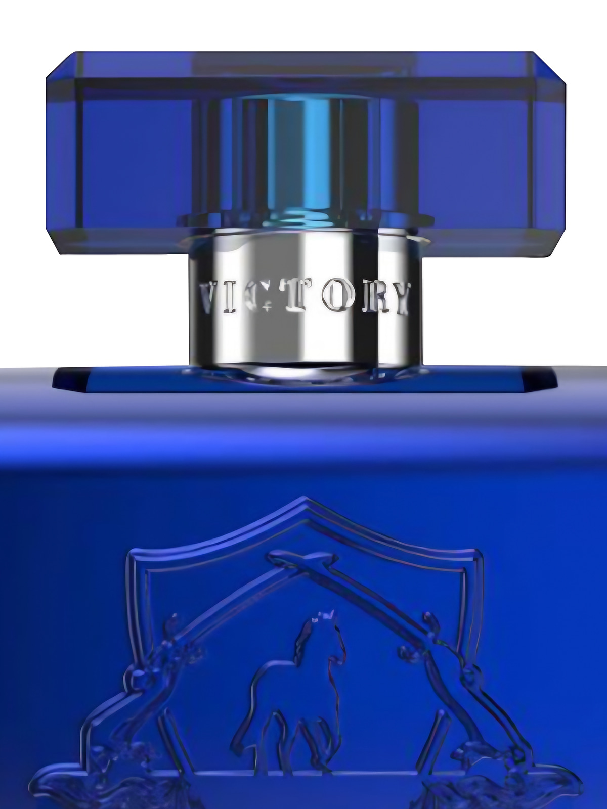 Парфюмерная вода Victory Radiant Eau de Parfum унисекс 100 мл фото 3