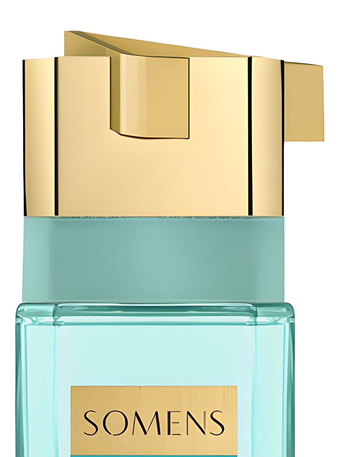 Духи Somens Atlantis Extrait de Parfum унисекс 100 мл, пряный фруктовый аромат фото 3