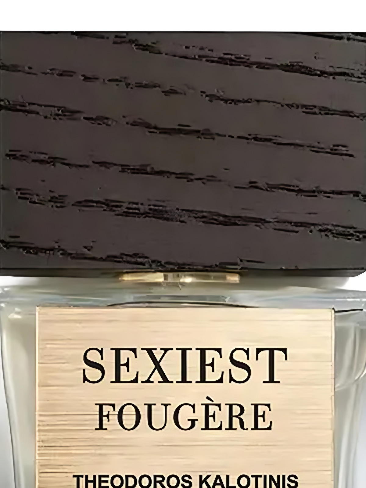 Духи Theodoros Kalotinis Sexiest Fougere Extrait de Parfum унисекс 50 мл фото 2