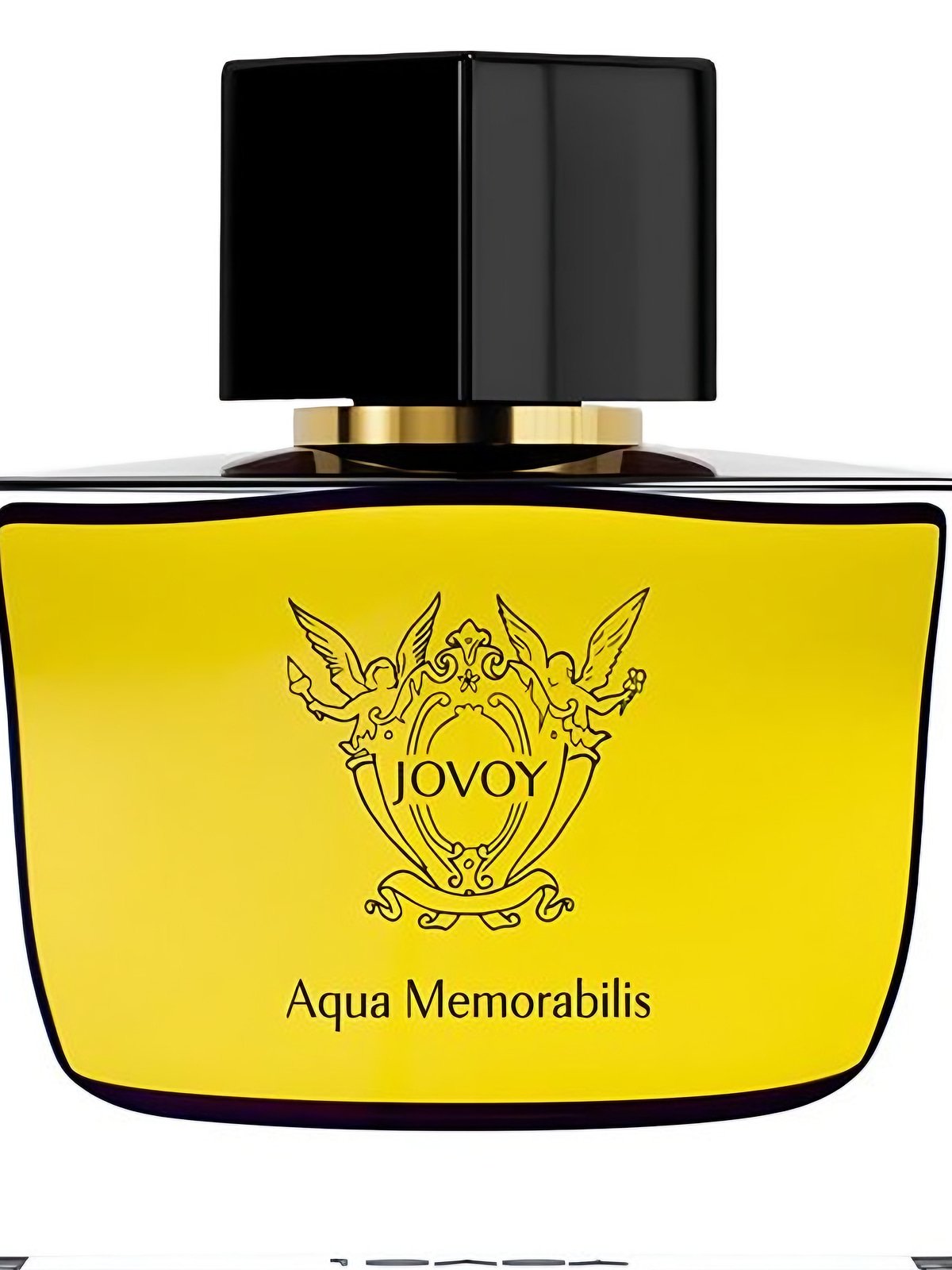 Парфюмерная вода Jovoy Paris Aqua Memorabilis Eau de Parfum унисекс 100 мл фото 3