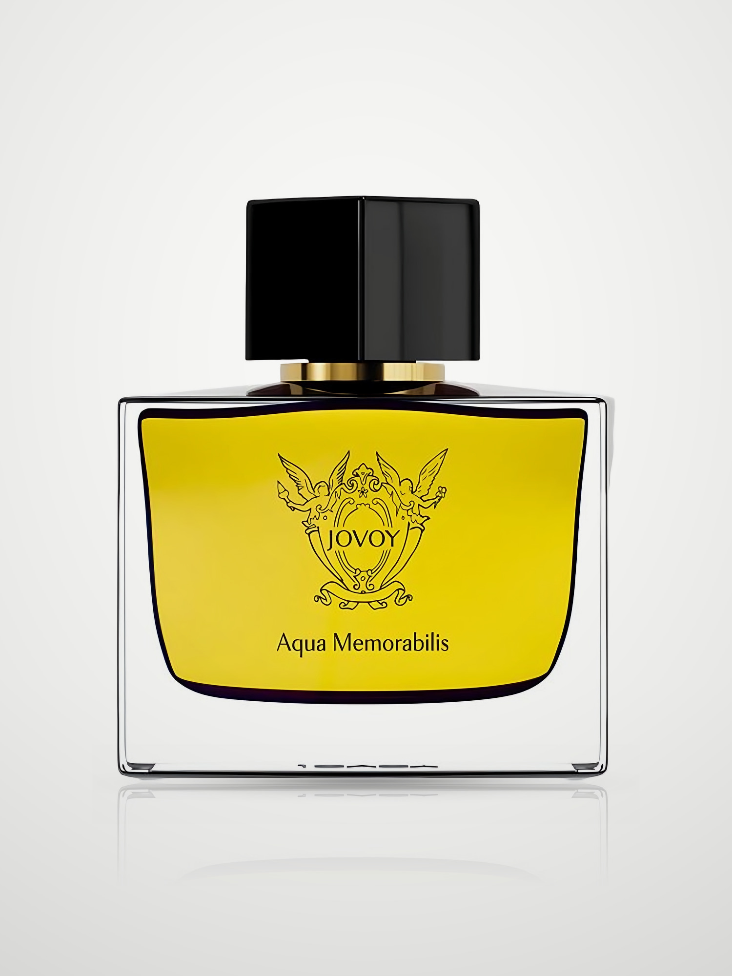 Парфюмерная вода Jovoy Paris Aqua Memorabilis Eau de Parfum унисекс 100 мл Jovoy