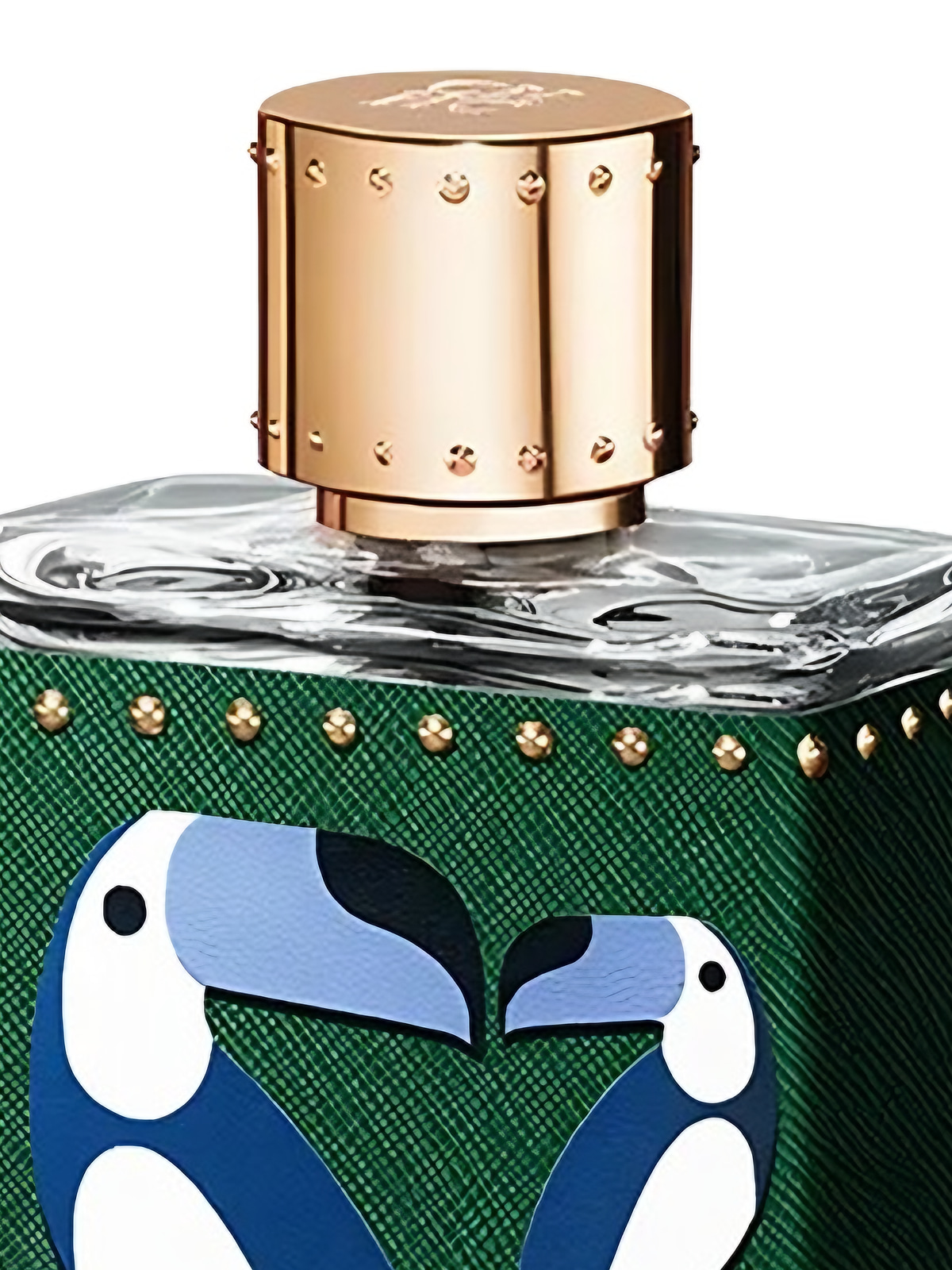 Парфюмерная вода Carolina Herrera CH Birds Of Paradise For Him Eau de Parfum мужская 100 мл фото 8