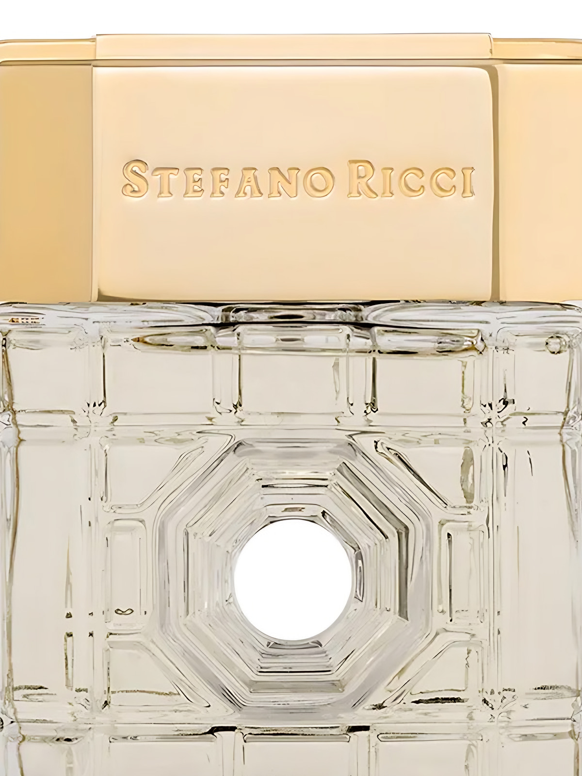 Парфюмерная вода Stefano Ricci Las Vegas Eau de Parfum мужская 100 мл фото 2