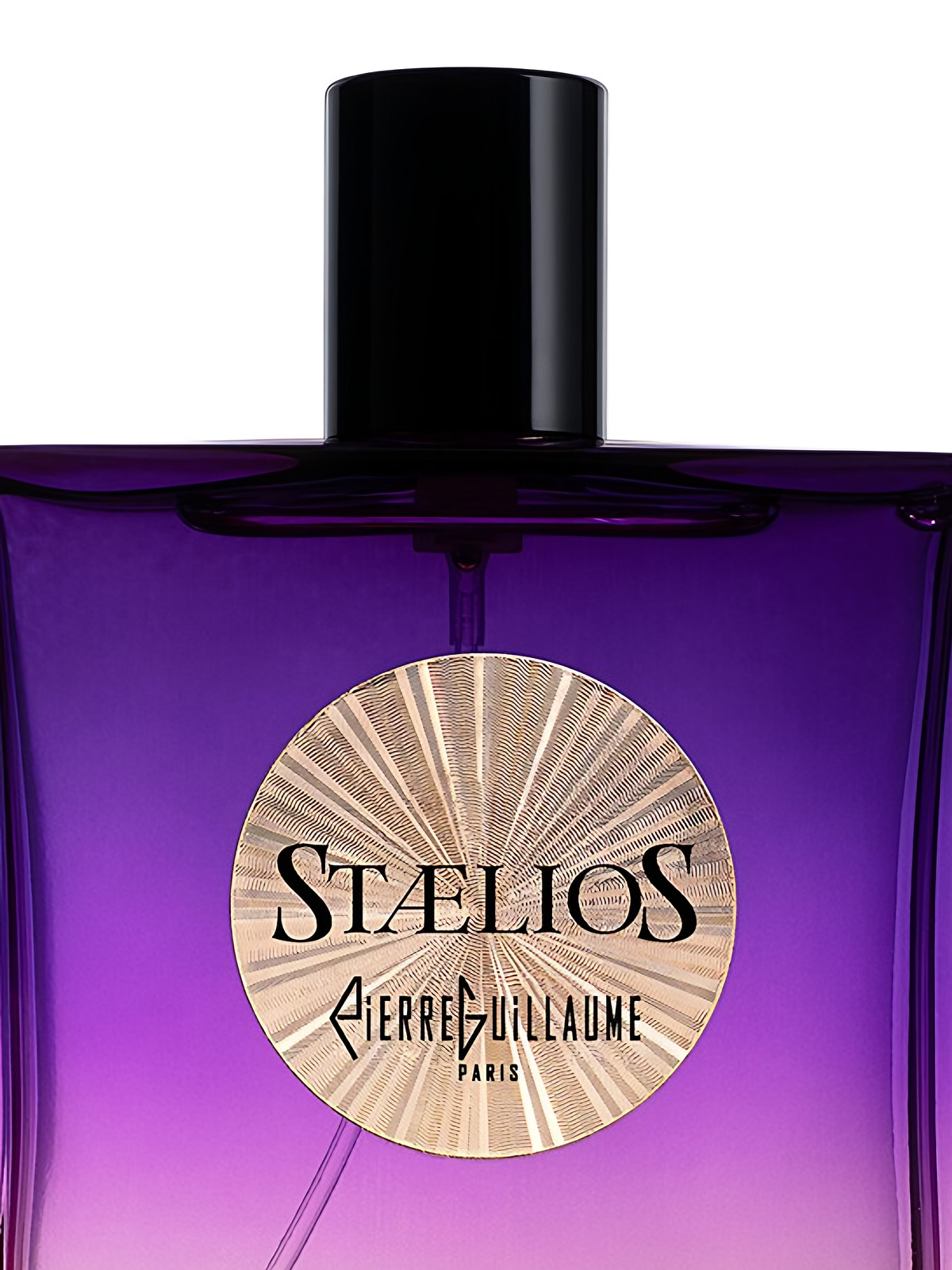 Парфюмерная вода Pierre Guillaume Paris Staelios Eau de Parfum унисекс 100 мл фото 2