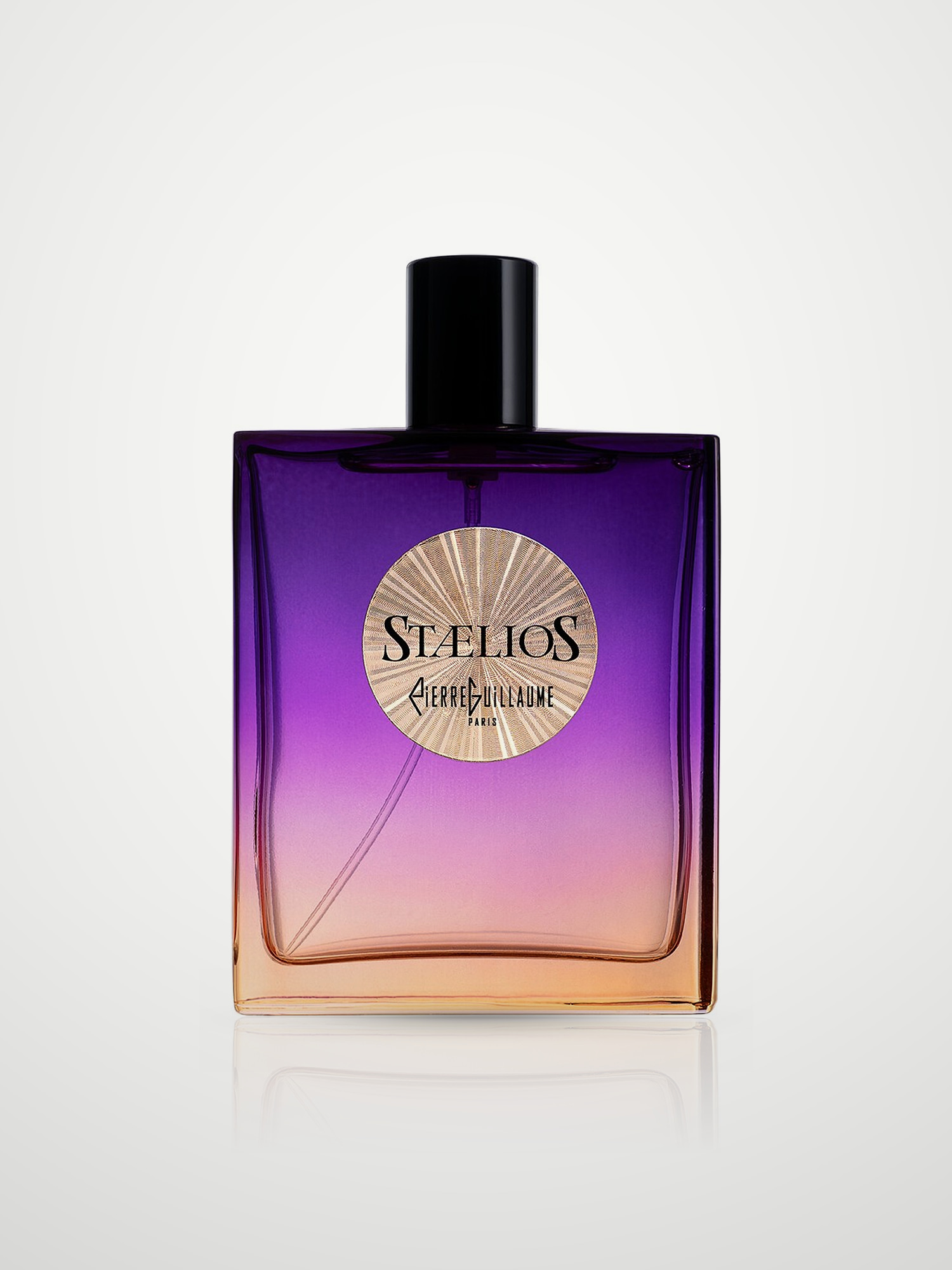 Парфюмерная вода Pierre Guillaume Paris Staelios Eau de Parfum унисекс 100 мл Pierre Guillaume