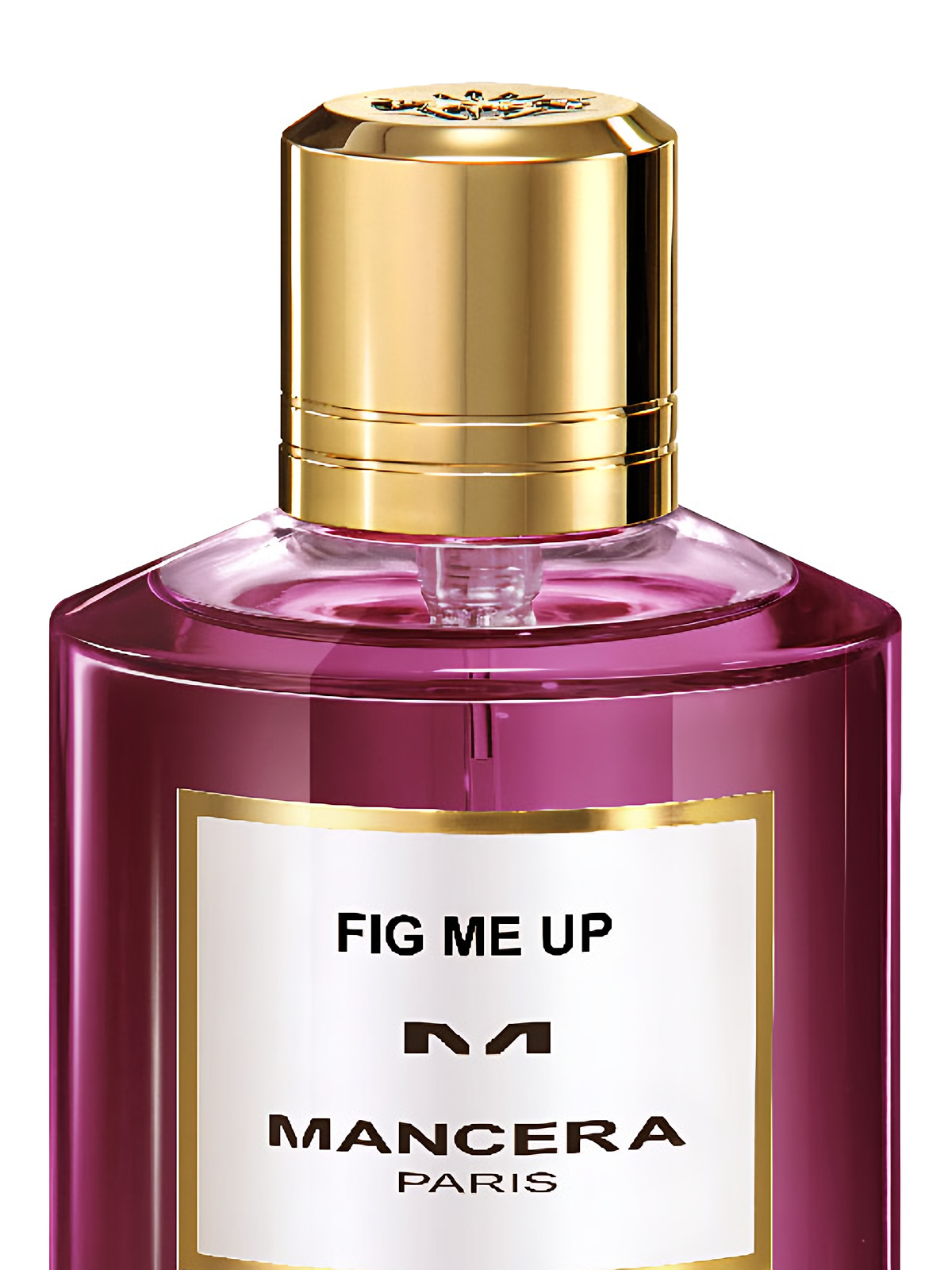 Парфюмерная вода Mancera Fig Me Up Eau de Parfum унисекс 120 мл фото 2